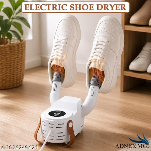 Electric shoe dryer