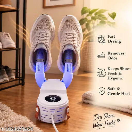 Electric shoe dryer